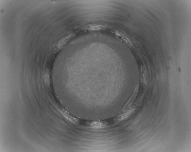 X0000078840562200611271325