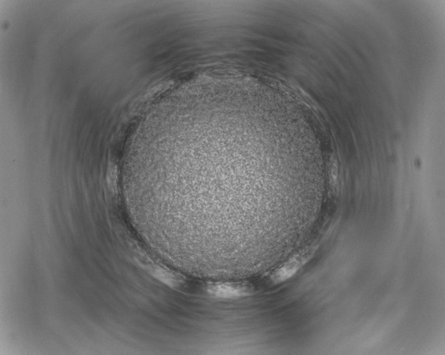 X0000078840565200611271325