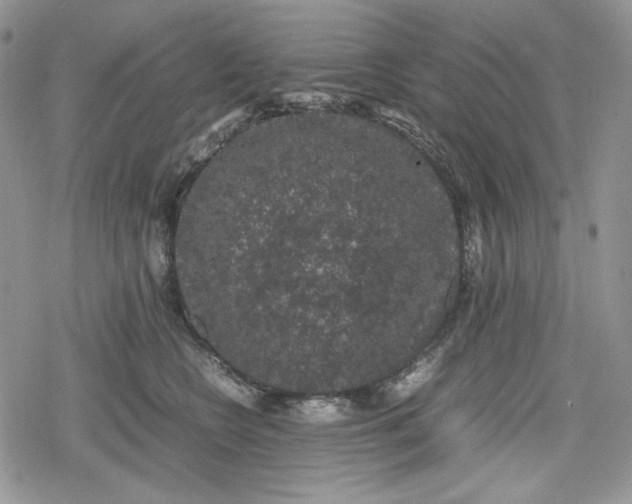 X0000078840566200611271325