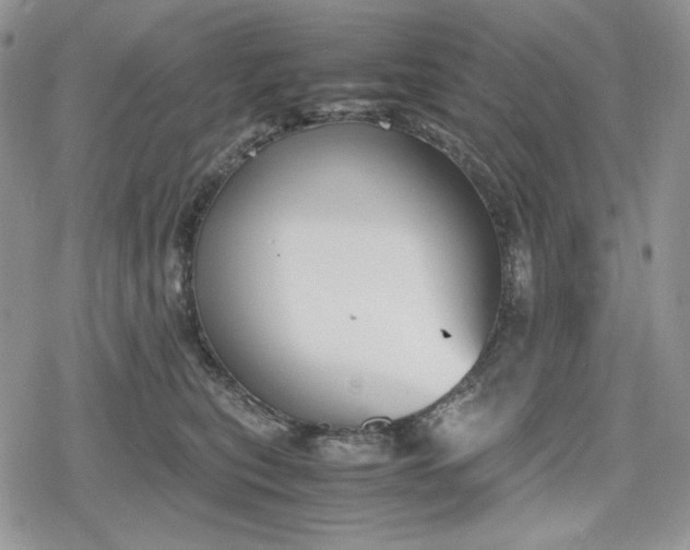 X0000078840567200611271325