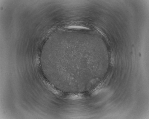 X0000078840569200611271325