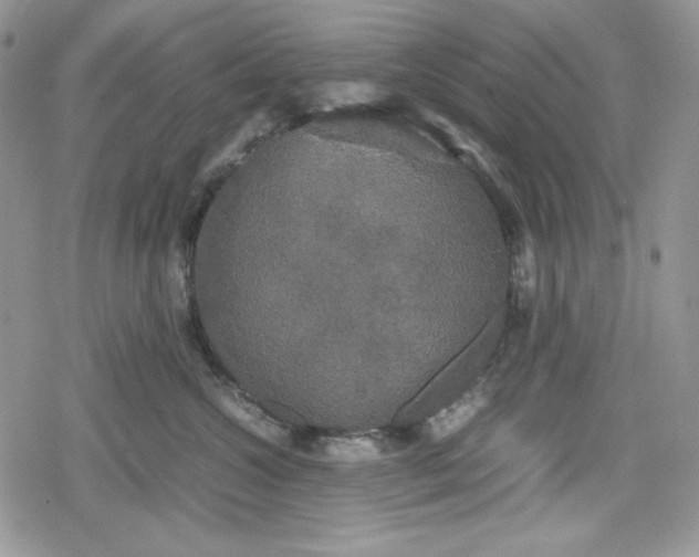 X0000078840572200611271325