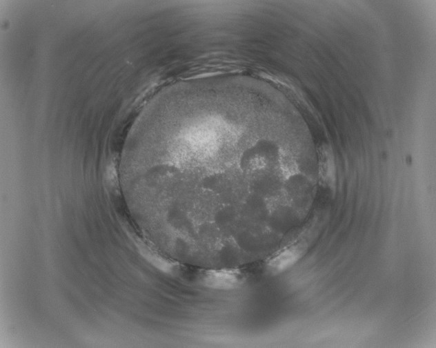 X0000078840573200611271325