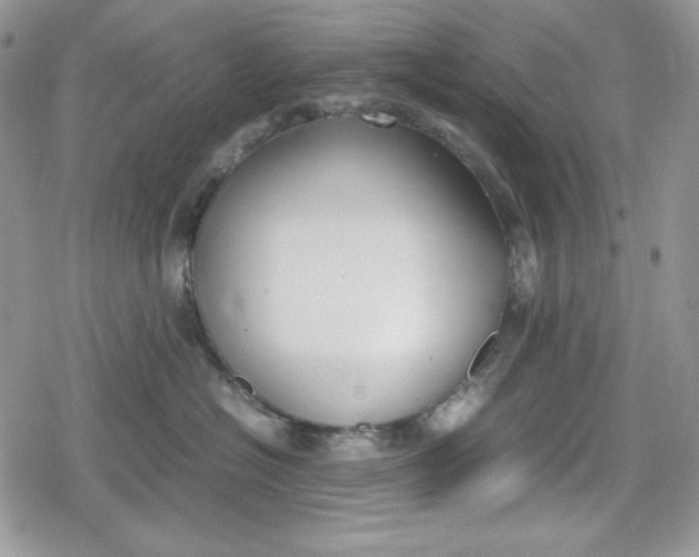 X0000078840574200611271325