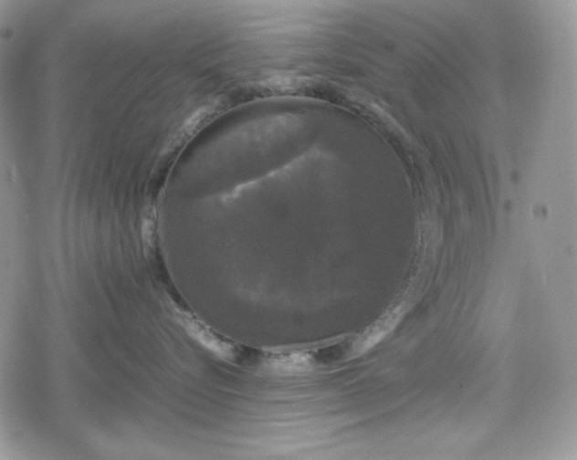 X0000078840576200611271325