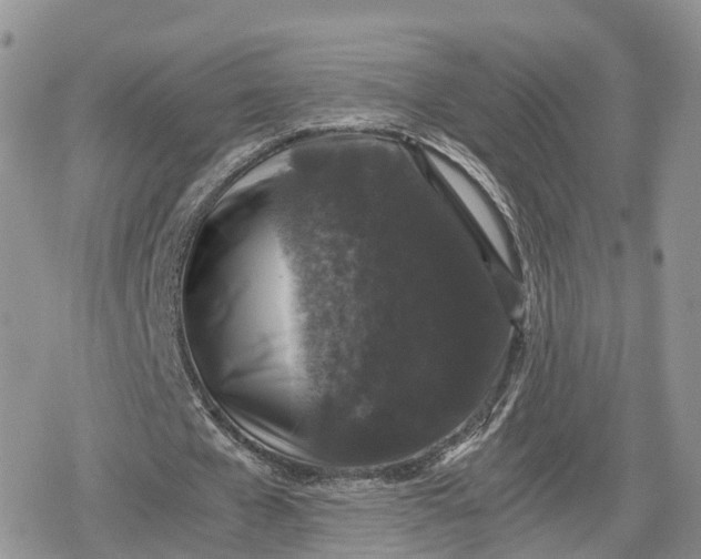 X0000078840577200611271324