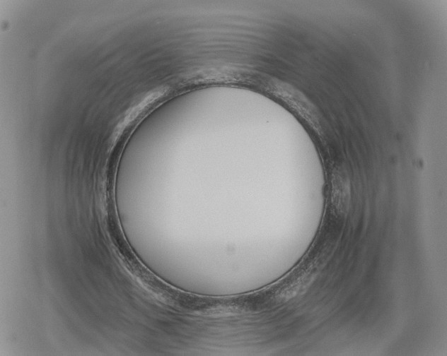 X0000078840578200611271324