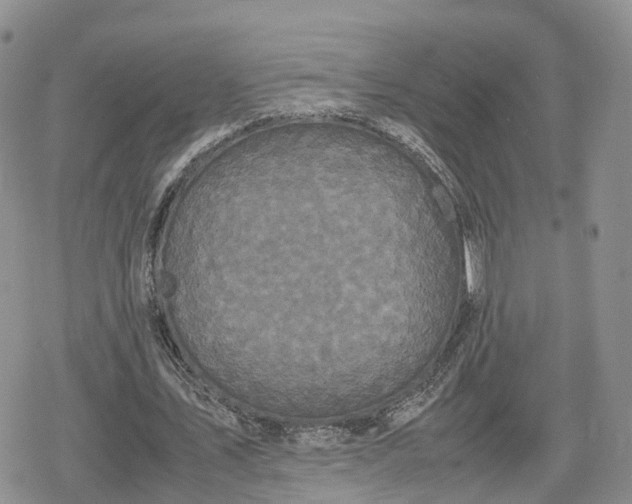 X0000078840579200611271324