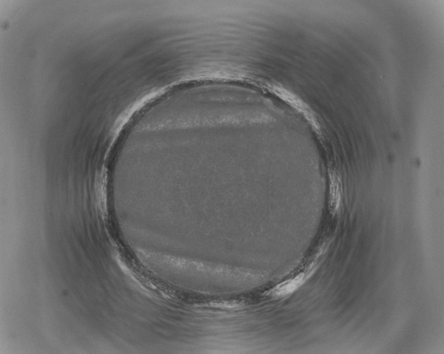 X0000078840580200611271324