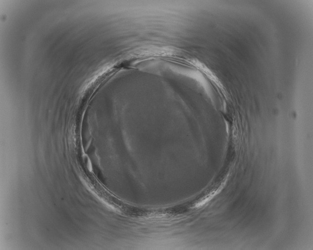 X0000078840581200611271324