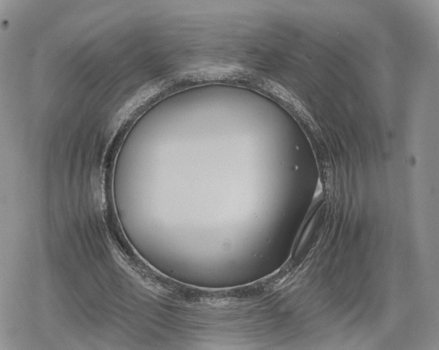 X0000078840582200611271324