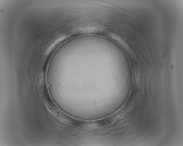 X0000078840583200611271324