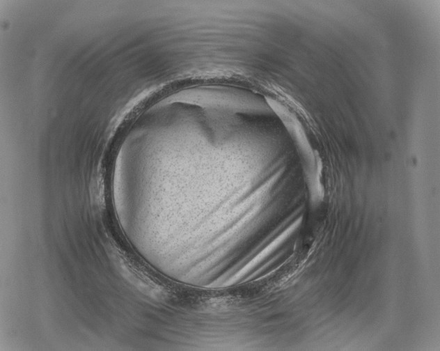 X0000078840584200611271324