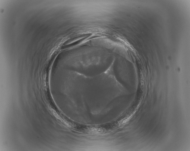 X0000078840585200611271324