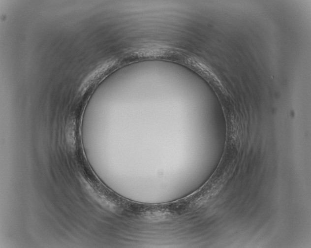 X0000078840586200611271324