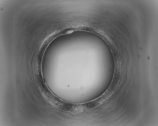 X0000078840587200611271324