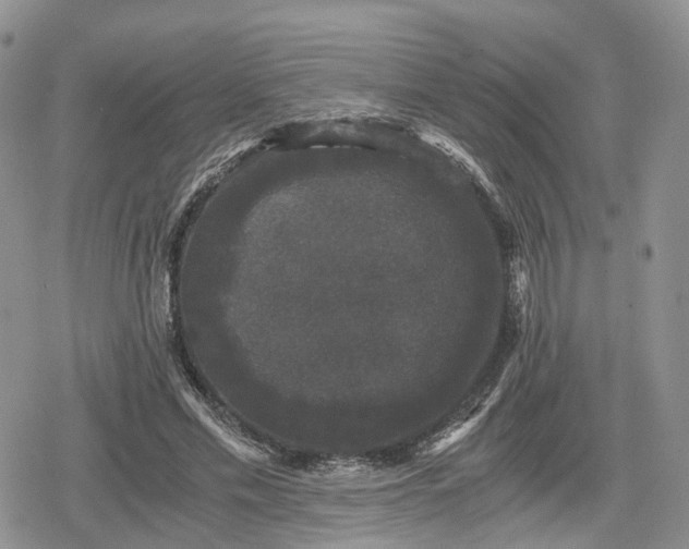 X0000078840589200611271324