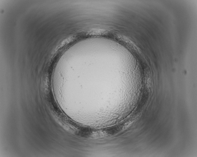 X0000078840591200611271324