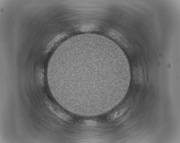 X0000078840592200611271324