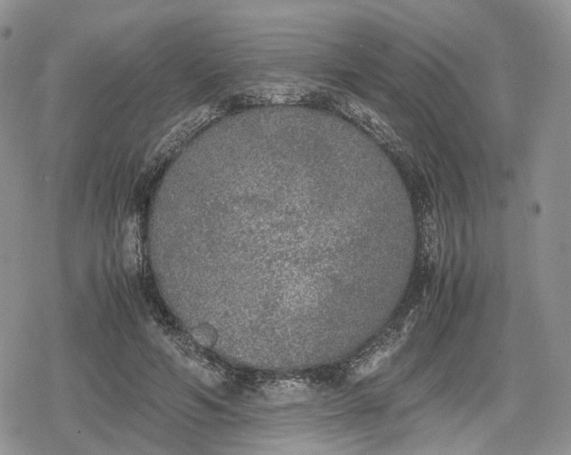 X0000078840594200611271324