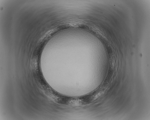 X0000078840595200611271324