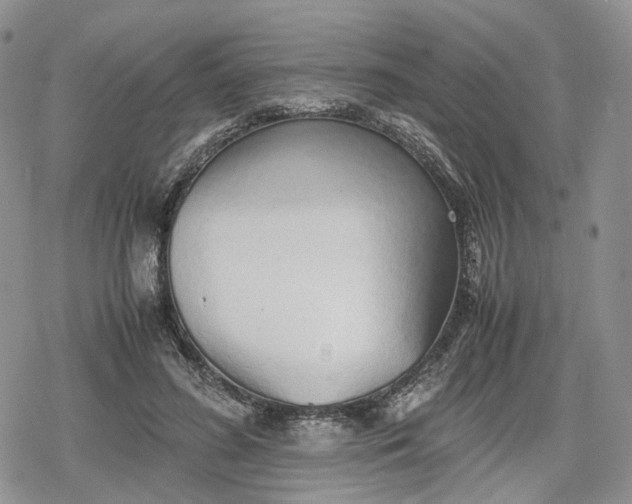 X0000078840596200611271324