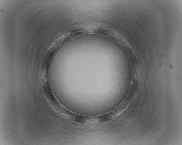 X0000078840599200611271324