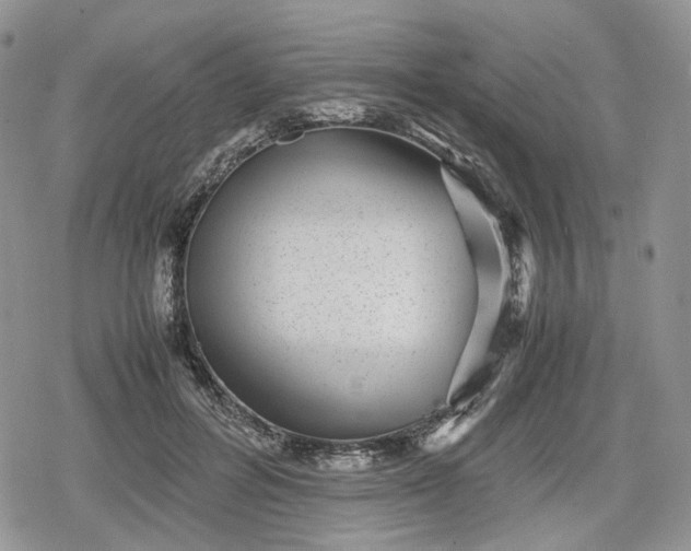 X0000078840600200611271324