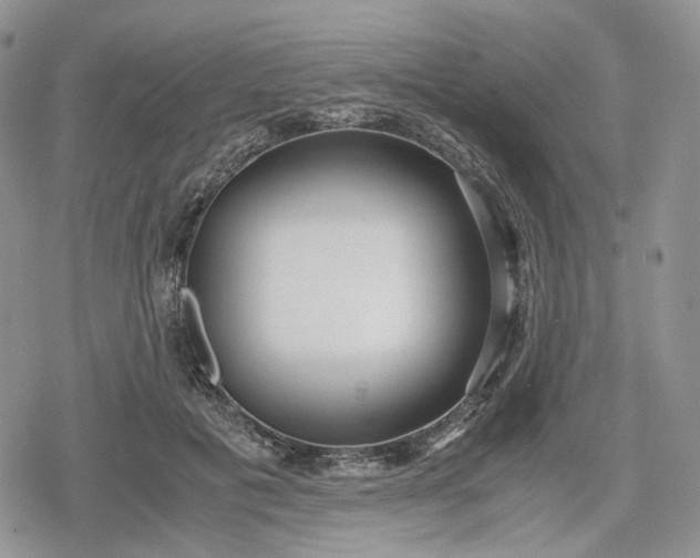 X0000078840601200611271324