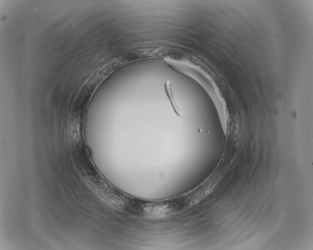 X0000078840602200611271324