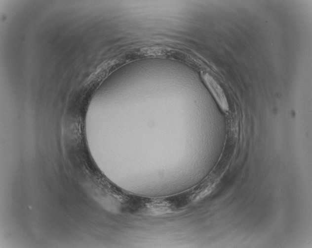 X0000078840603200611271324