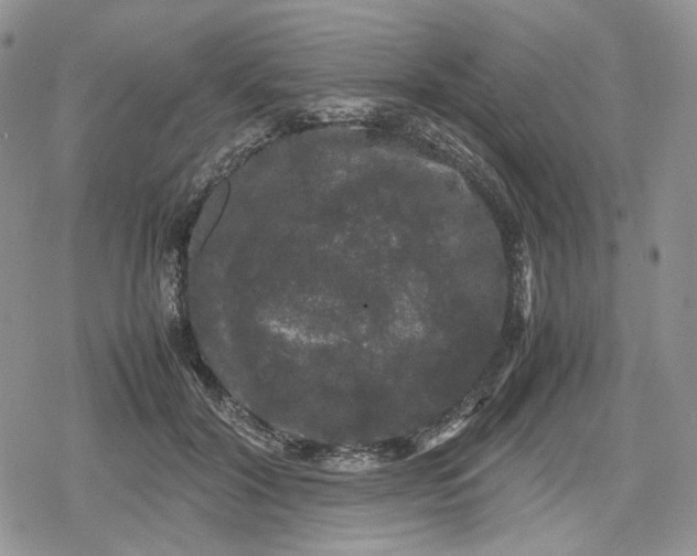 X0000078840604200611271324