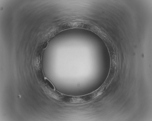 X0000078840605200611271324