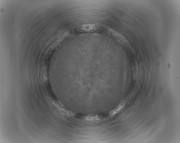 X0000078840606200611271324