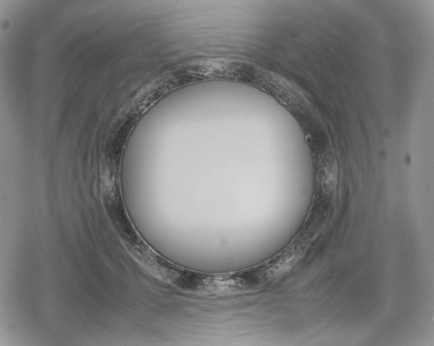 X0000078840607200611271324