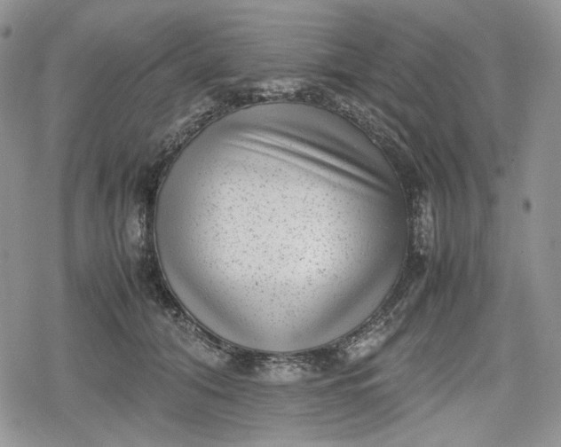 X0000078840608200611271324