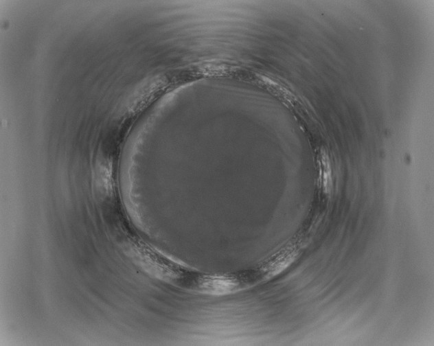 X0000078840610200611271324