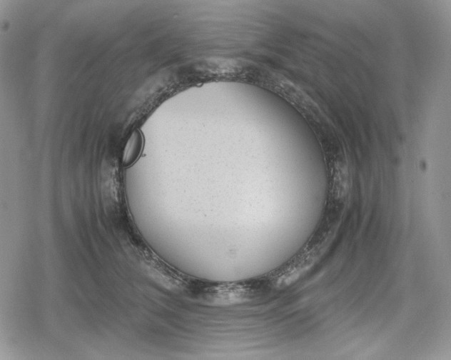 X0000078840612200611271324