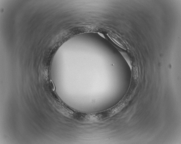 X0000078840613200611271324