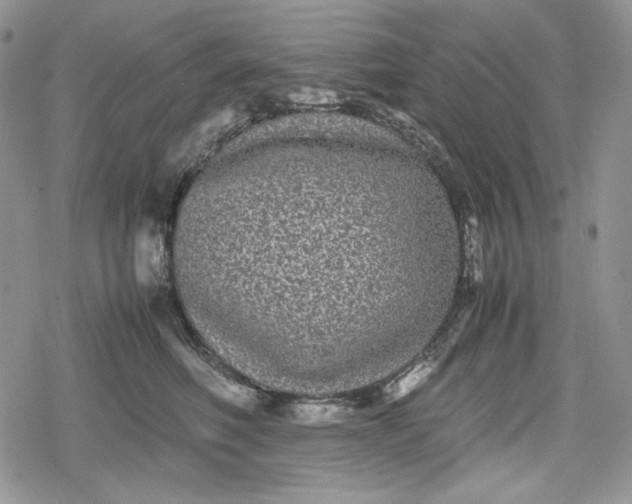 X0000078840614200611271324