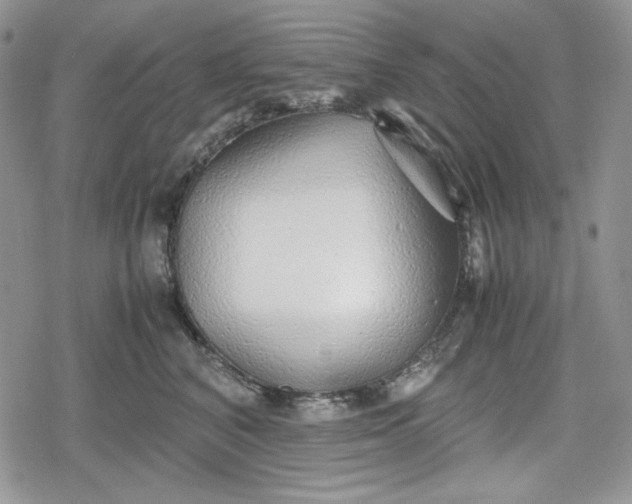 X0000078840616200611271323