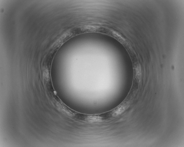 X0000078840617200611271323