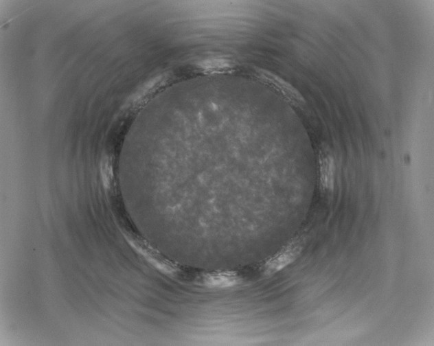 X0000078840618200611271323