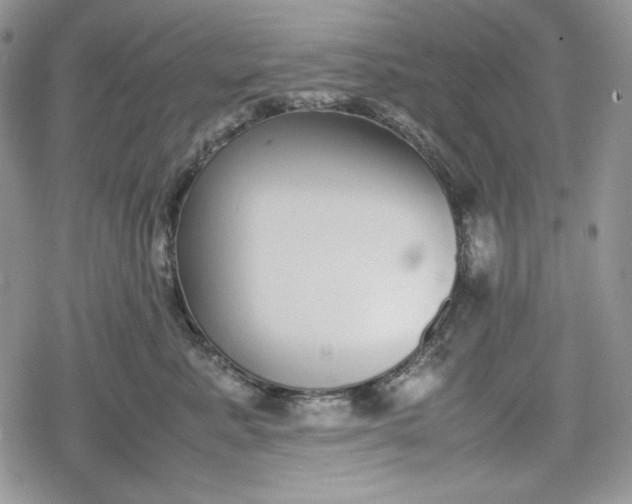 X0000078840619200611271323