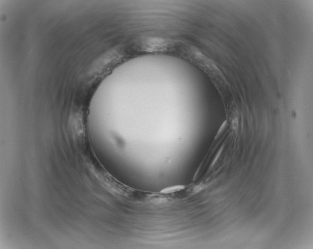 X0000078840620200611271323