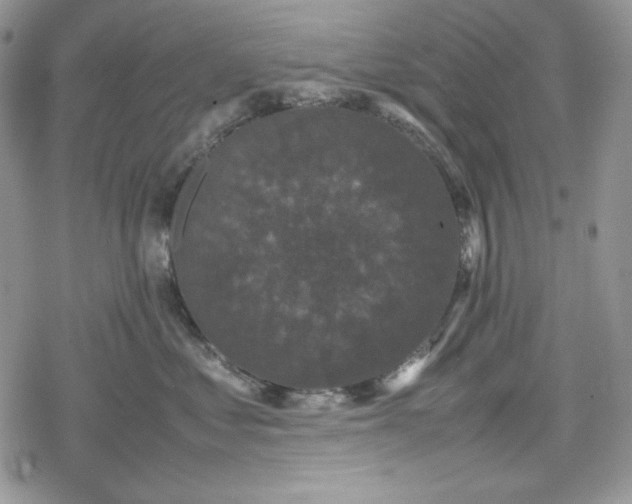 X0000078840621200611271323