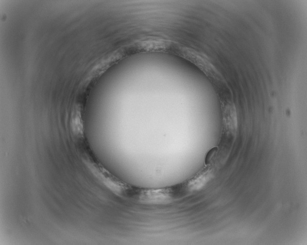 X0000078840622200611271323