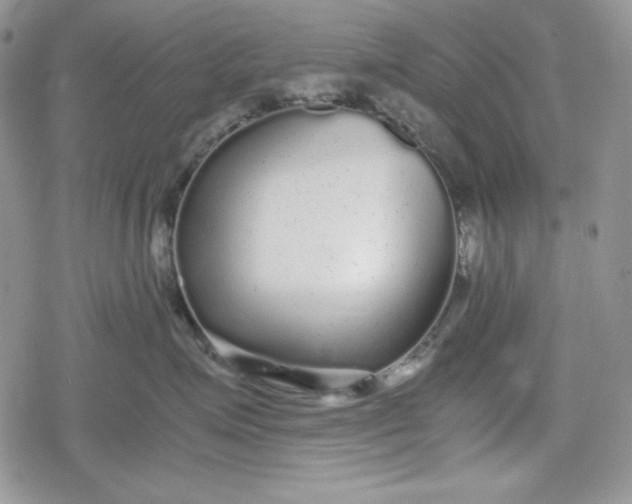 X0000078840623200611271323