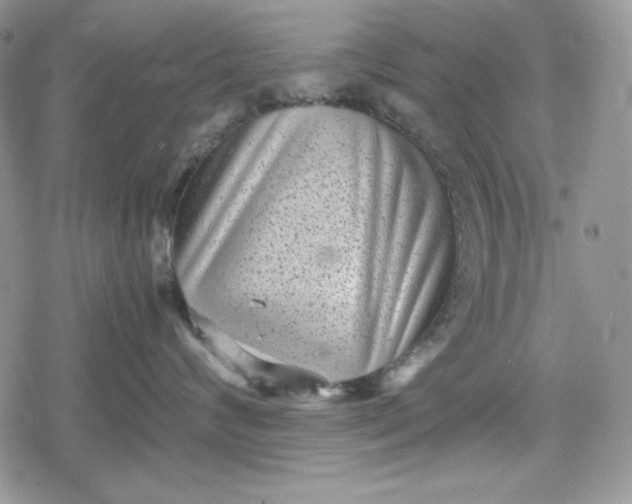 X0000078840624200611271323