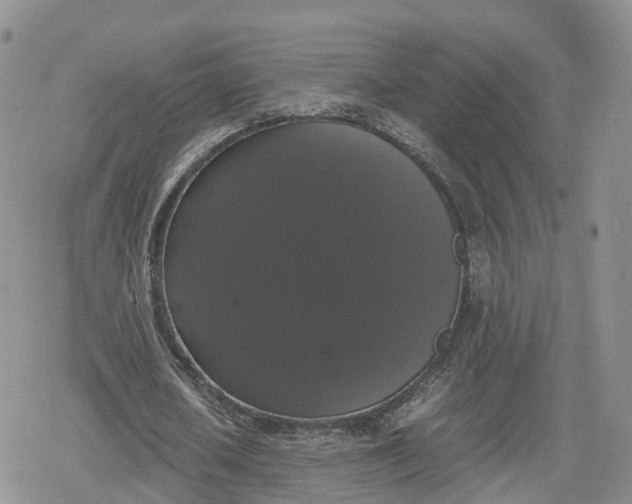 X0000078840626200611271323